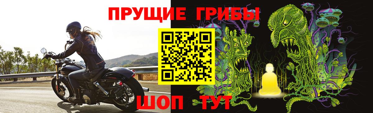 Галлюциногенные грибы GOLDEN TEACHER  Вход с VPN  Кумертау 
